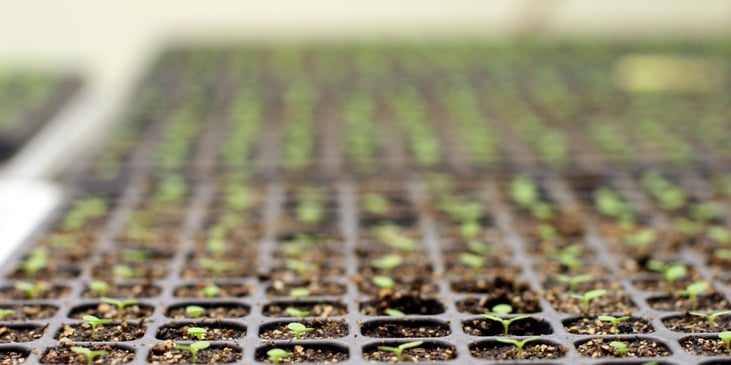 No Time for Innovation - Banner 2